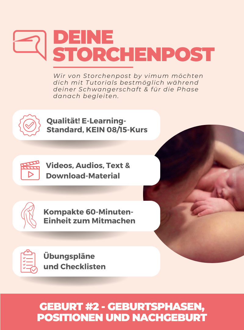 Geburt #2 - Geburtsphasen, Positionen und Nachgeburt